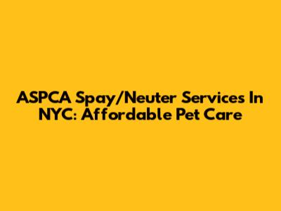 ASPCA Spay/Neuter Services In NYC: Affordable Pet Care