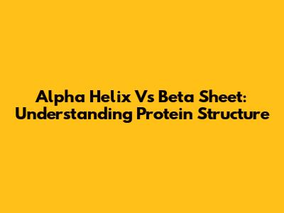 Alpha Helix Vs Beta Sheet: Understanding Protein Structure