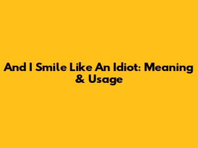 And I Smile Like An Idiot: Meaning & Usage