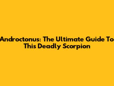 Androctonus: The Ultimate Guide To This Deadly Scorpion
