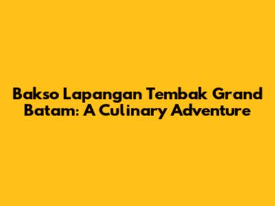 Bakso Lapangan Tembak Grand Batam: A Culinary Adventure