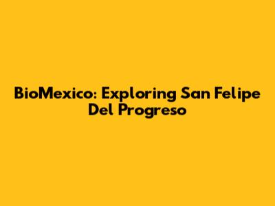BioMexico: Exploring San Felipe Del Progreso