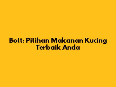 Bolt: Pilihan Makanan Kucing Terbaik Anda