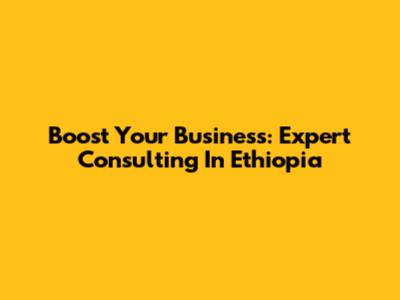 Boost Your Business: Expert Consulting In Ethiopia