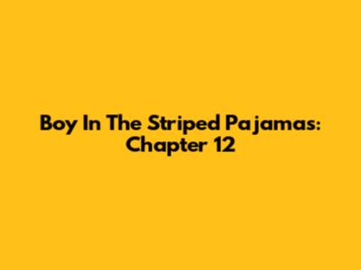 Boy In The Striped Pajamas: Chapter 12