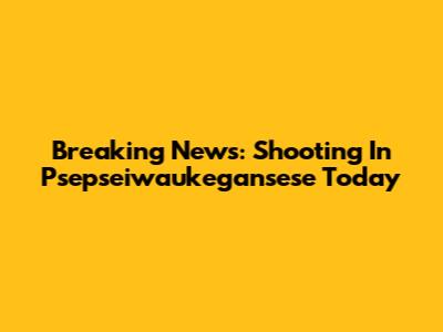 Breaking News: Shooting In Psepseiwaukegansese Today