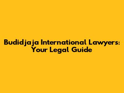 Budidjaja International Lawyers: Your Legal Guide