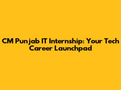 CM Punjab IT Internship: Your Tech Career Launchpad