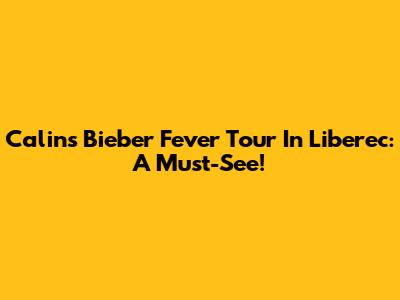 Calin's Bieber Fever Tour In Liberec: A Must-See!