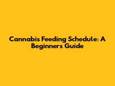 Cannabis Feeding Schedule: A Beginner's Guide