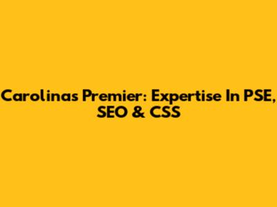 Carolina's Premier: Expertise In PSE, SEO & CSS