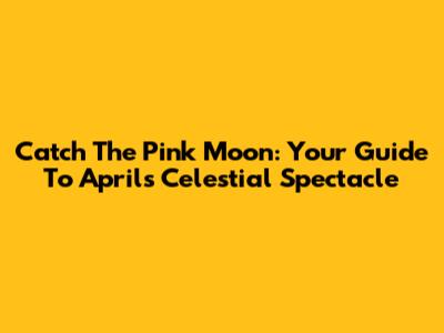 Catch The Pink Moon: Your Guide To April's Celestial Spectacle