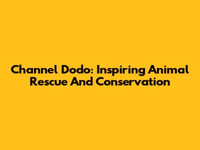 Channel Dodo: Inspiring Animal Rescue And Conservation