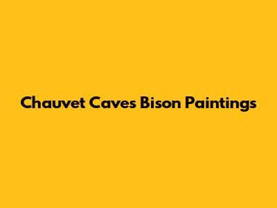 Chauvet Cave's Bison Paintings