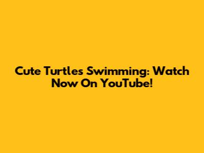 Cute Turtles Swimming: Watch Now On YouTube!