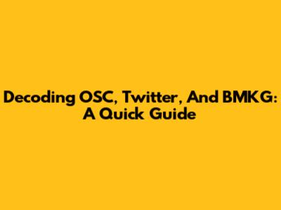 Decoding OSC, Twitter, And BMKG: A Quick Guide