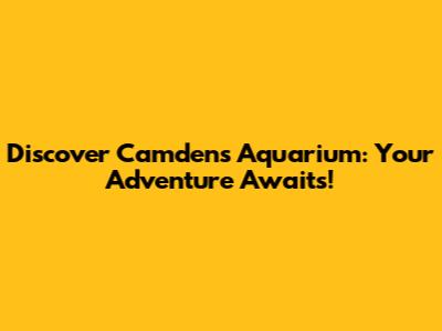 Discover Camden's Aquarium: Your Adventure Awaits!
