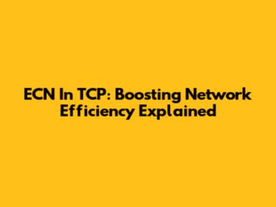 ECN In TCP: Boosting Network Efficiency Explained