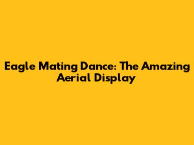 Eagle Mating Dance: The Amazing Aerial Display