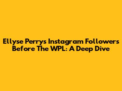 Ellyse Perry's Instagram Followers Before The WPL: A Deep Dive