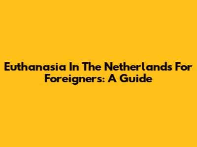 Euthanasia In The Netherlands For Foreigners: A Guide