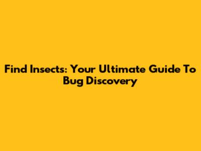 Find Insects: Your Ultimate Guide To Bug Discovery