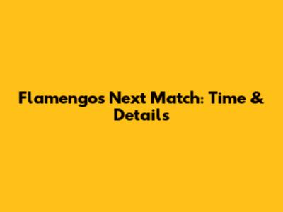 Flamengo's Next Match: Time & Details