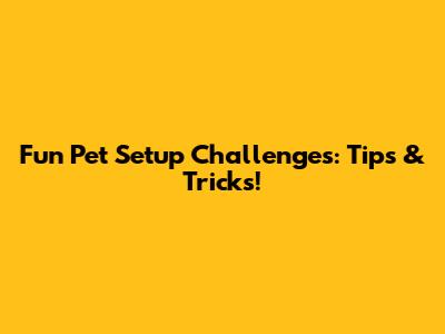 Fun Pet Setup Challenges: Tips & Tricks!