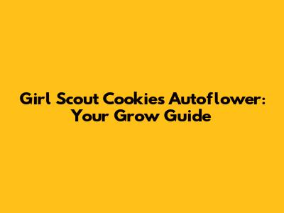Girl Scout Cookies Autoflower: Your Grow Guide