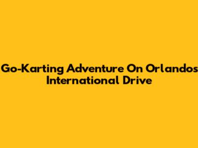 Go-Karting Adventure On Orlando's International Drive