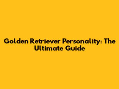 Golden Retriever Personality: The Ultimate Guide