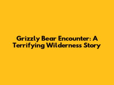 Grizzly Bear Encounter: A Terrifying Wilderness Story