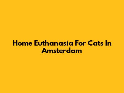 Home Euthanasia For Cats In Amsterdam