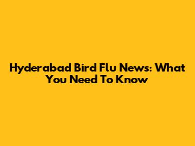 Hyderabad Bird Flu News: What You Need To Know
