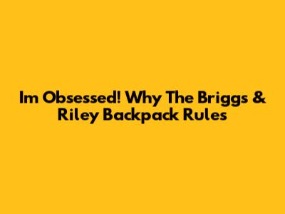 I'm Obsessed! Why The Briggs & Riley Backpack Rules