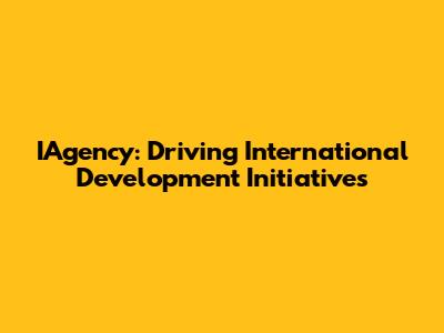IAgency: Driving International Development Initiatives