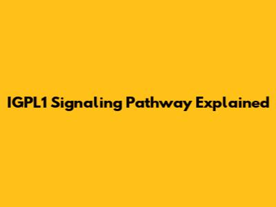 IGPL1 Signaling Pathway Explained