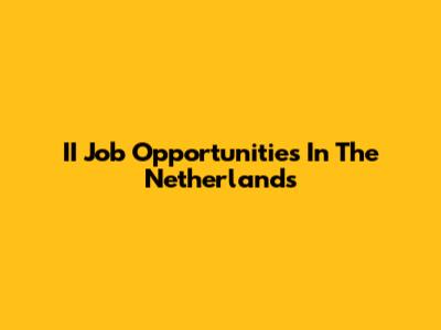 II Job Opportunities In The Netherlands