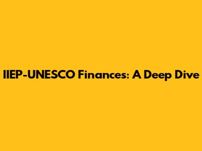 IIEP-UNESCO Finances: A Deep Dive