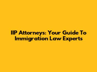 IIP Attorneys: Your Guide To Immigration Law Experts