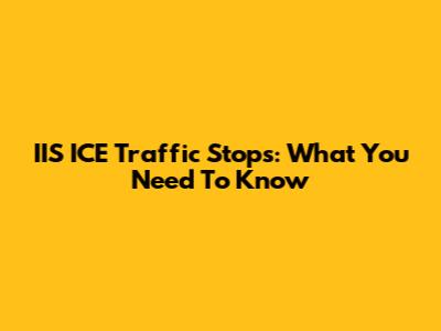 IIS ICE Traffic Stops: What You Need To Know