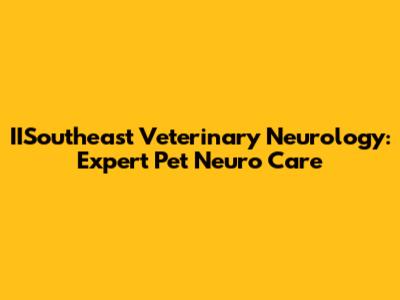 IISoutheast Veterinary Neurology: Expert Pet Neuro Care