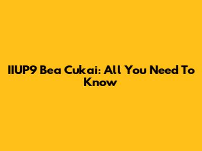 IIUP9 Bea Cukai: All You Need To Know
