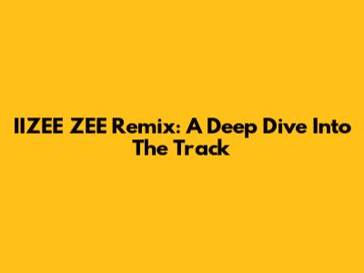 IIZEE ZEE Remix: A Deep Dive Into The Track