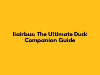 Iiairbus: The Ultimate Duck Companion Guide