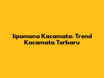 Iipomona Kacamata: Trend Kacamata Terbaru