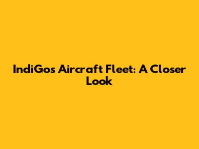 IndiGo's Aircraft Fleet: A Closer Look