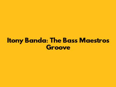 Itony Banda: The Bass Maestro's Groove