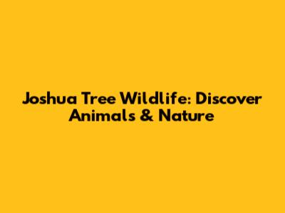 Joshua Tree Wildlife: Discover Animals & Nature