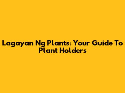 Lagayan Ng Plants: Your Guide To Plant Holders
